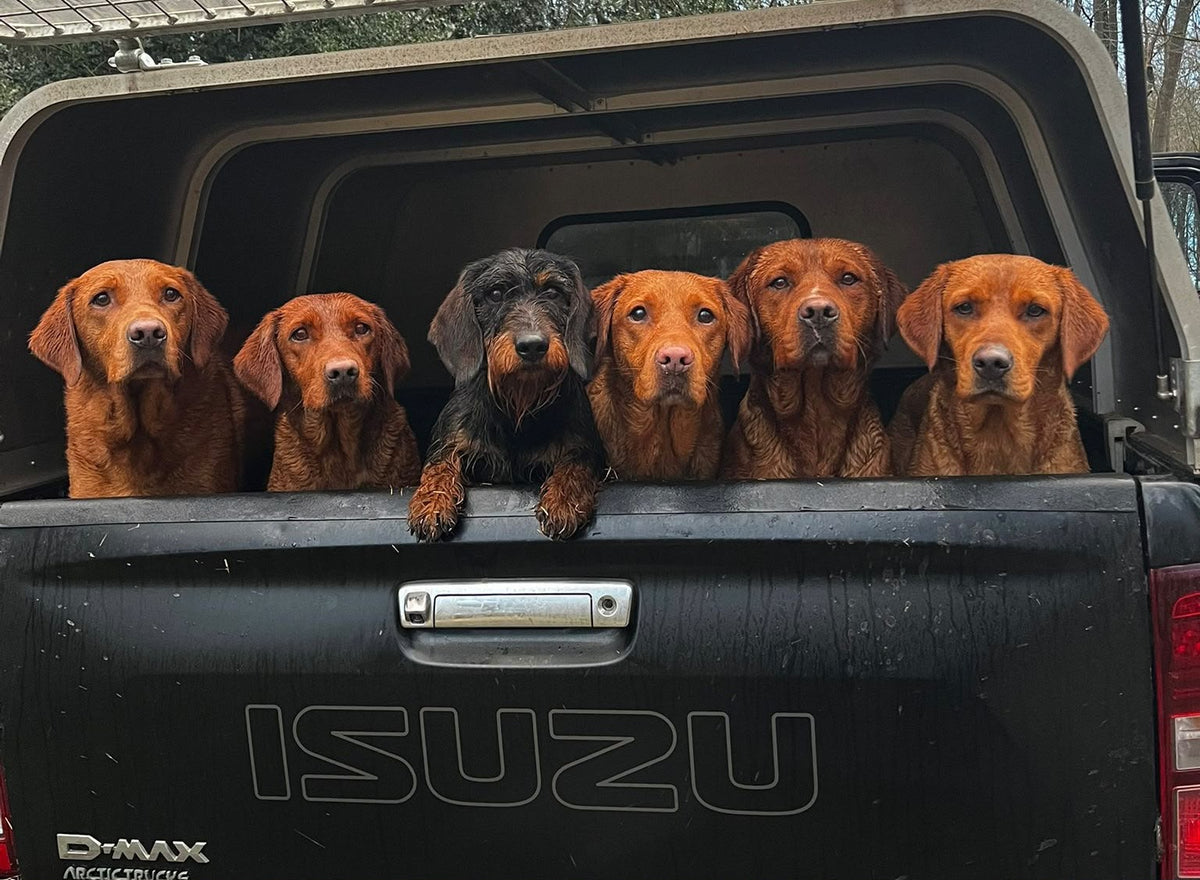 Measure Up – No Barking